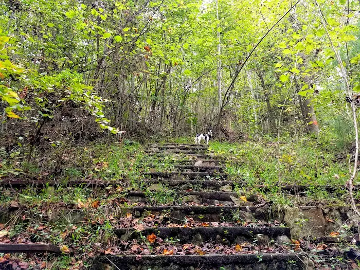 Rocky Bluff Campground 4