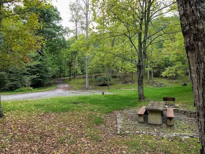 Rocky Bluff Campground 8
