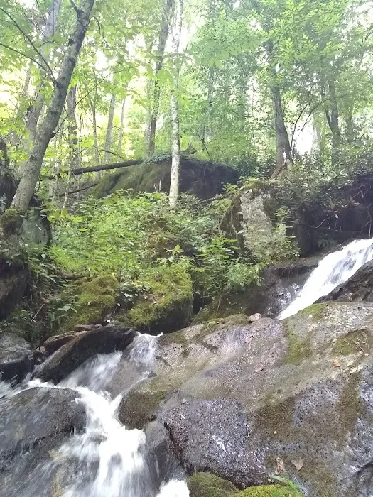 Rocky Bluff Campground 10