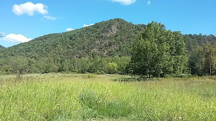 Weavers Bend 4
