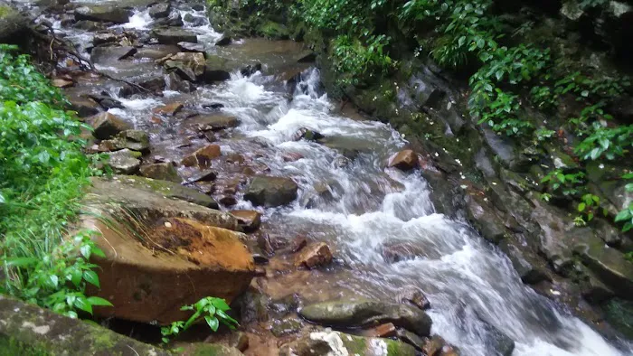 Weavers Bend 10