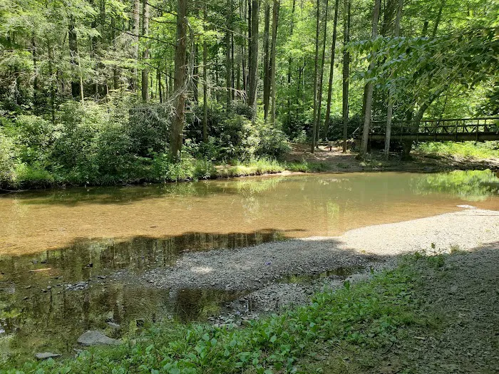 Paint Creek Campground 3