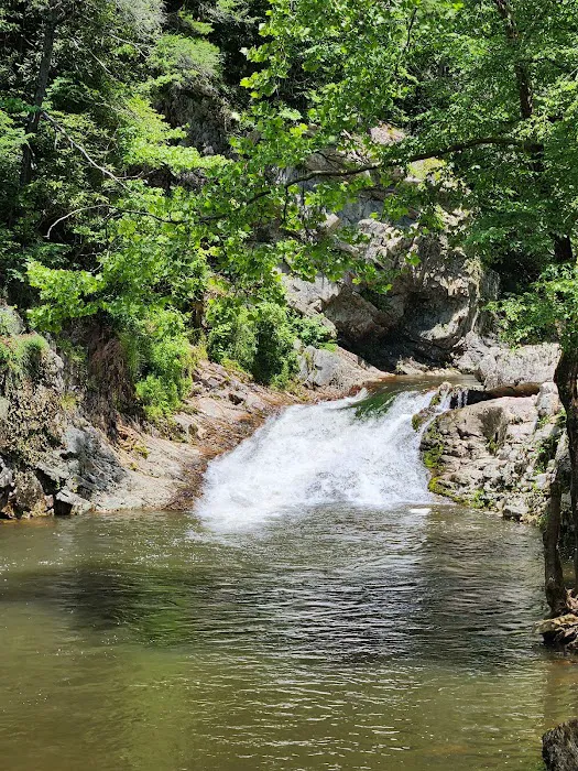 Paint Creek Campground 5