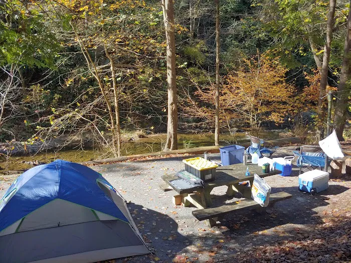 Paint Creek Campground 6