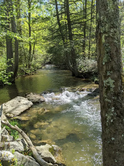 Tall Timbers Campground 7