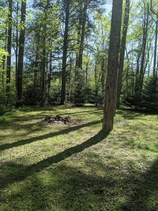 Tall Timbers Campground 6