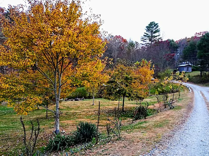 The Campground Rez 10
