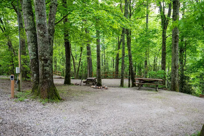Spacious Skies Campgrounds - Bear Den 8