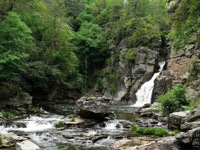 Spacious Skies Campgrounds - Bear Den 10
