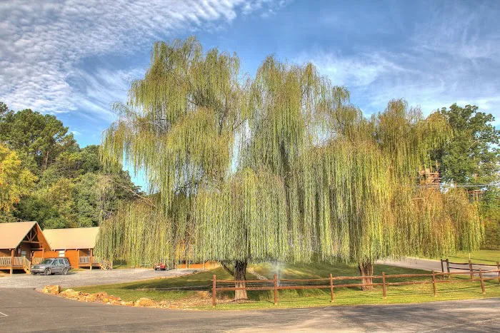 Sun Outdoors Pigeon Forge 8