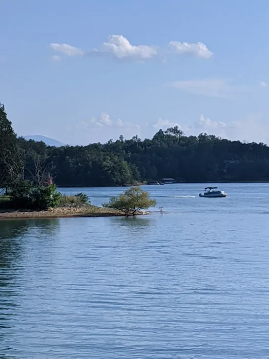 Sims Point 1