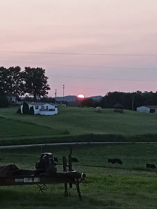 Evergreens RV Park 5
