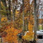 Mountain Ranch RV Park