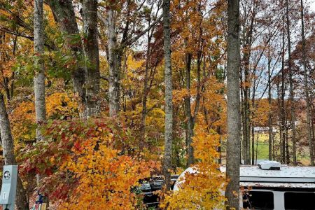 Mountain Ranch RV Park