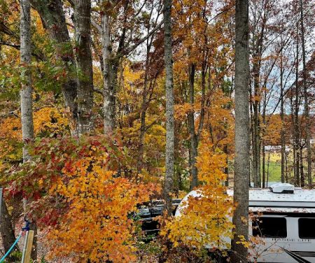Mountain Ranch RV Park