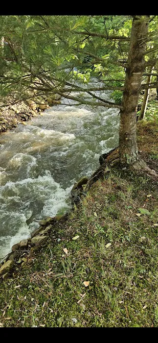 Carson Springs RV Campground 1