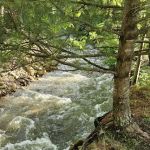 Carson Springs RV Campground