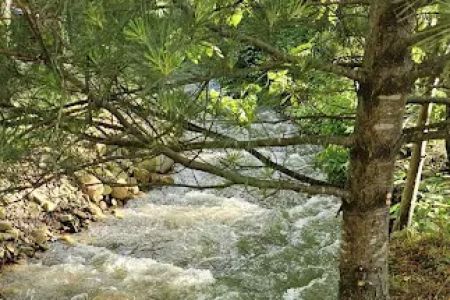 Carson Springs RV Campground