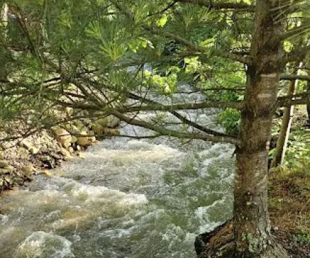 Carson Springs RV Campground