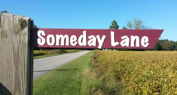 Someday Lane 6