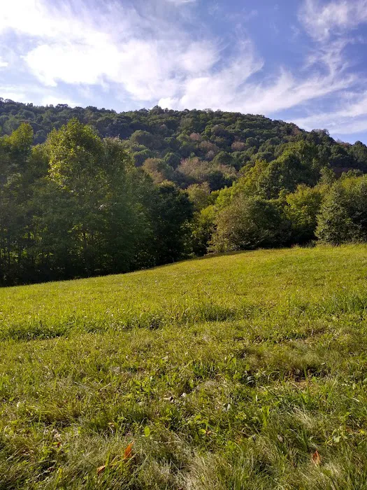 Blue Bear Mountain 4