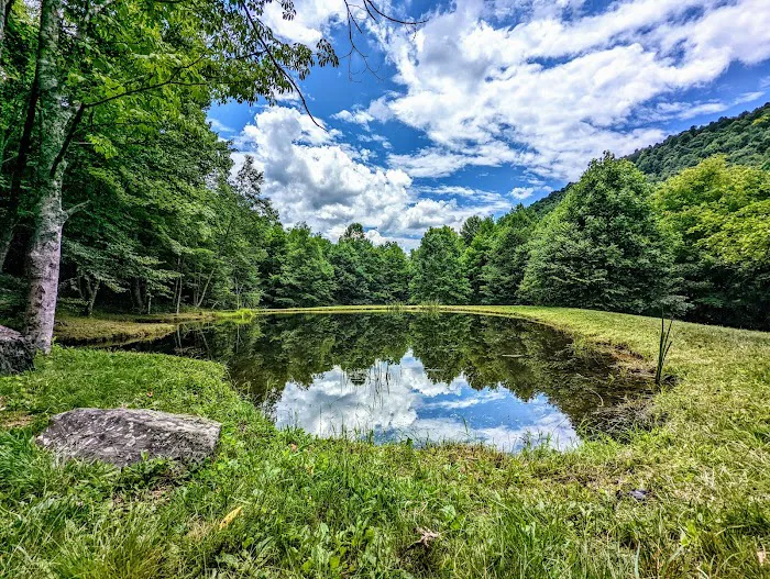 Blue Bear Mountain 8