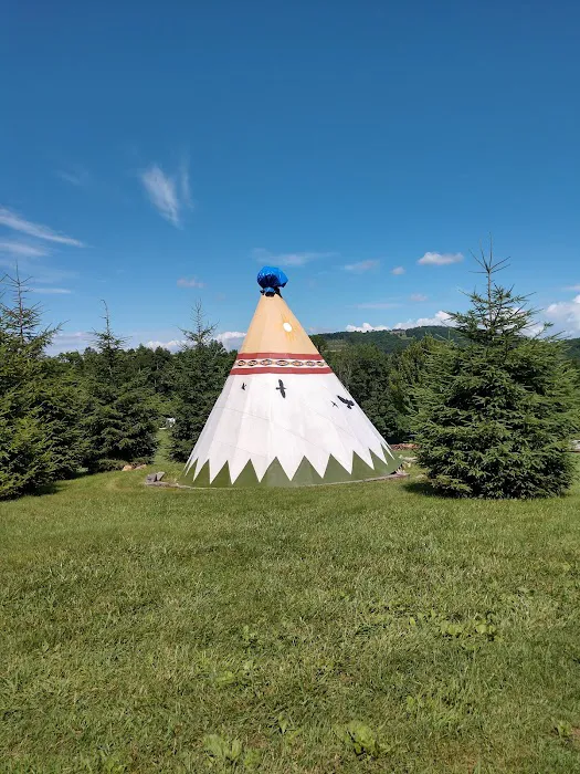 Blue Bear Mountain 10
