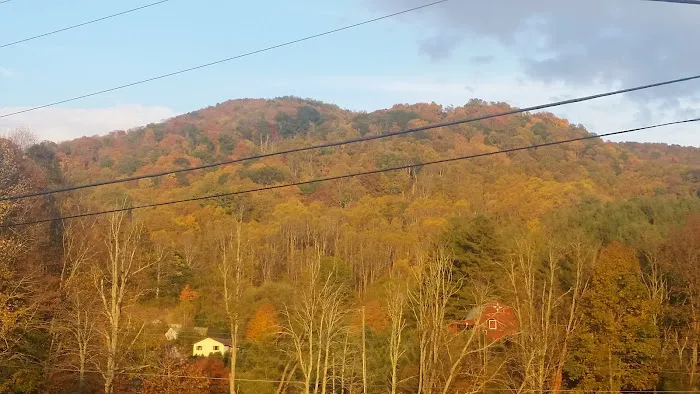 Vanderpool Campground 10