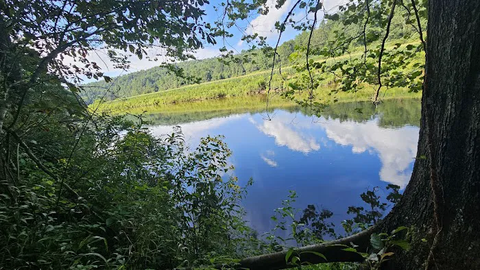 New River State Park, Wagoner Access Rd. 8