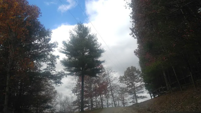 Mountain Side Campground & Cabins 4