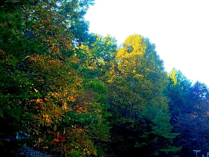 Mountain Side Campground & Cabins 10