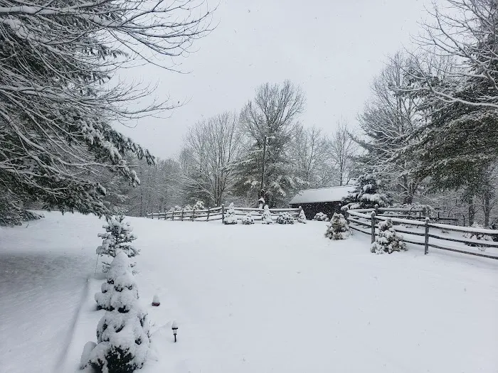 Mountain Side Campground & Cabins 8