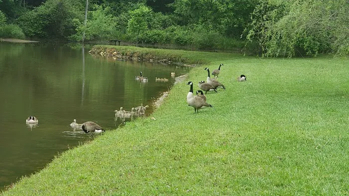 Beechnut Family Campground 9
