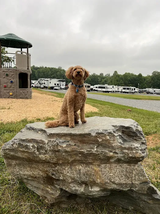 Black Dog Acres RV Park 2