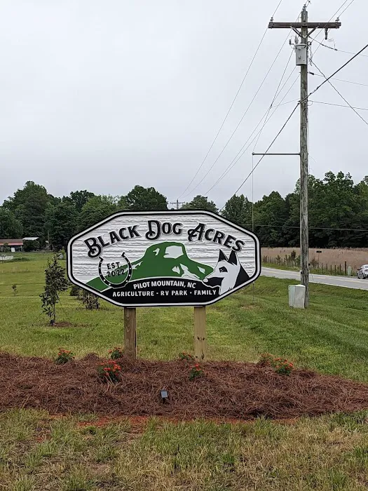 Black Dog Acres RV Park 3