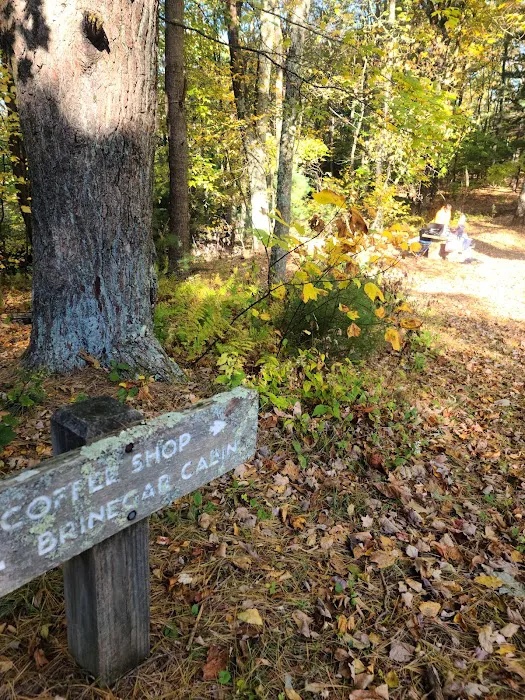 Doughton Park Campground 2