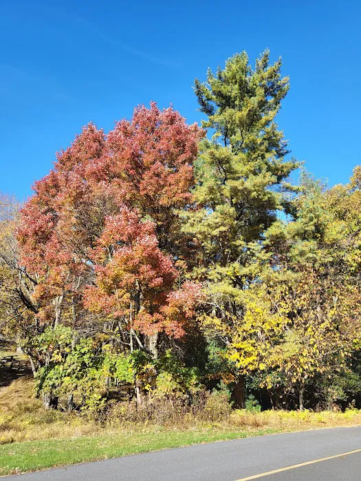Doughton Park Campground 7
