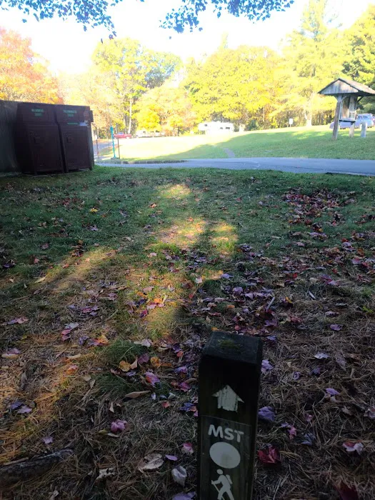 Doughton Park Campground 8