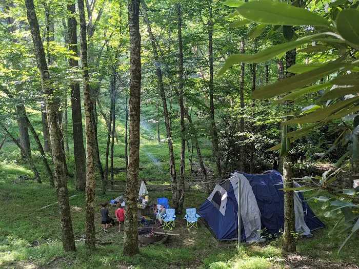 Doughton Park Campground 5