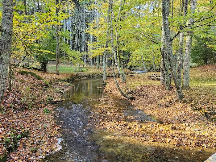 A & C Campground 6