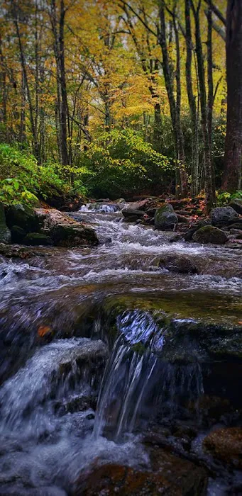 Grandfather Campground 2
