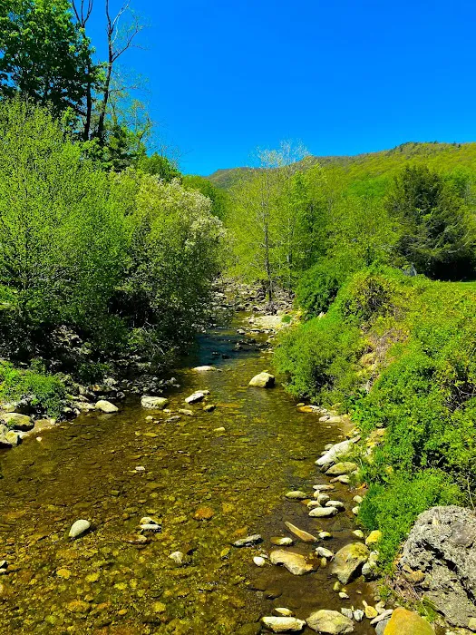 Grandfather Campground 3