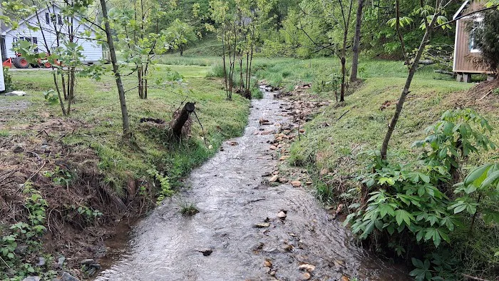 Drake's Creek Campground near Boone 1