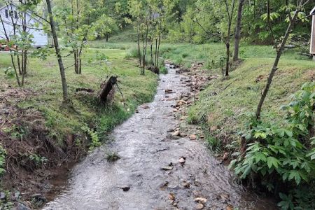 Drake's Creek Campground near Boone