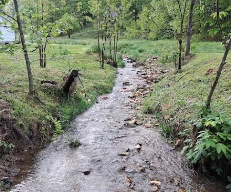Drake's Creek Campground near Boone