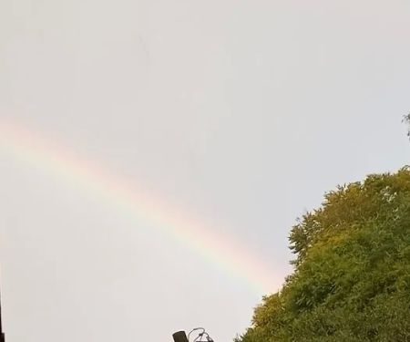 Mountaineer Campground (Town of Lansing)