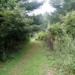 Prathers Creek Campground (Paddle In Only)