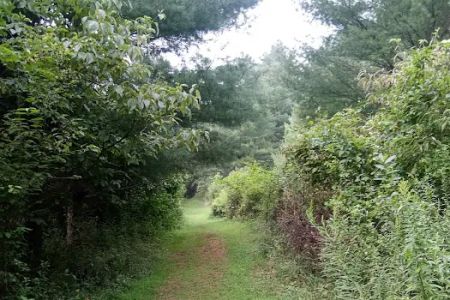 Prathers Creek Campground (Paddle In Only)