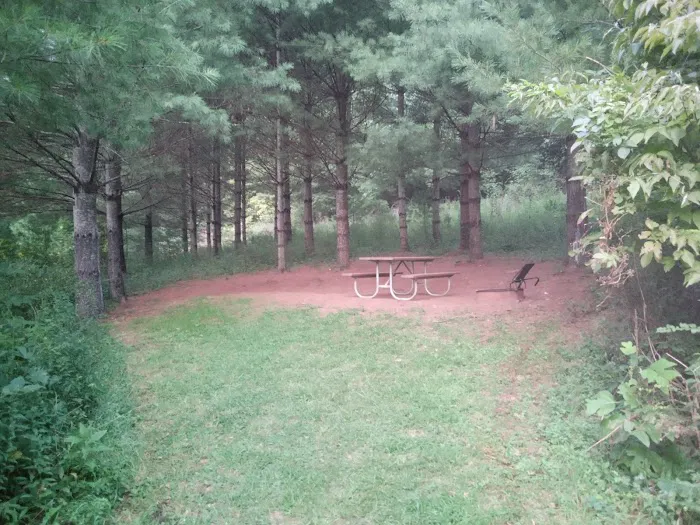 Prathers Creek Campground (Paddle In Only) 7