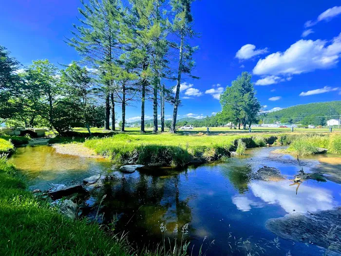 Big Mike's Creekside RV Resort 6